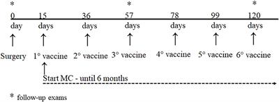 Association of Systemic Inflammatory and Immune Indices With Survival in Canine Patients With Oral Melanoma, Treated With Experimental Immunotherapy Alone or Experimental Immunotherapy Plus Metronomic Chemotherapy